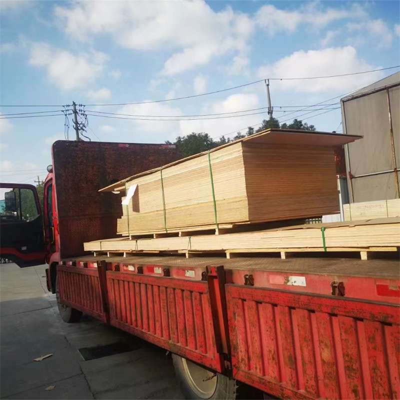 江西赣州崇义县至塔城货运专线，一站式物流服务助您成功